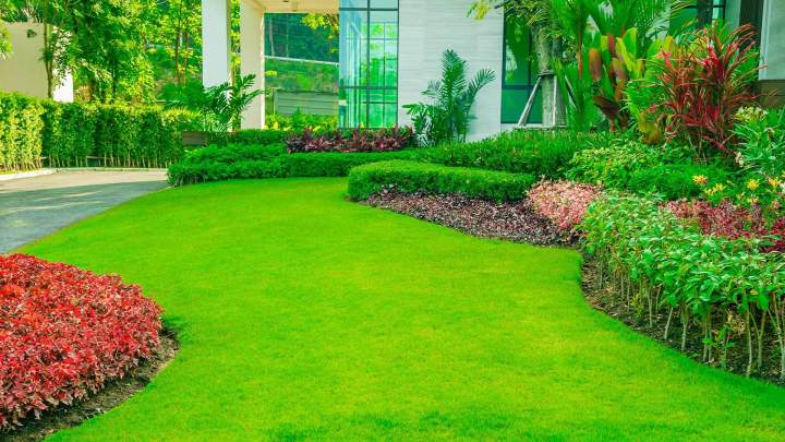 Entretien de jardins Muret