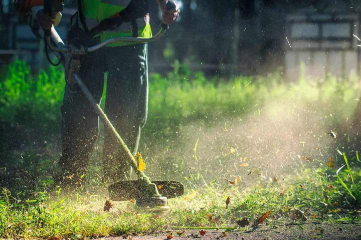 Entretien de jardins Muret