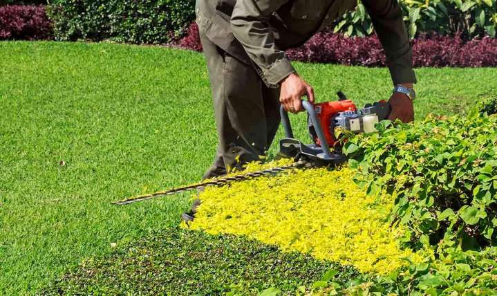 Entretenir régulièrement les jardins Muret